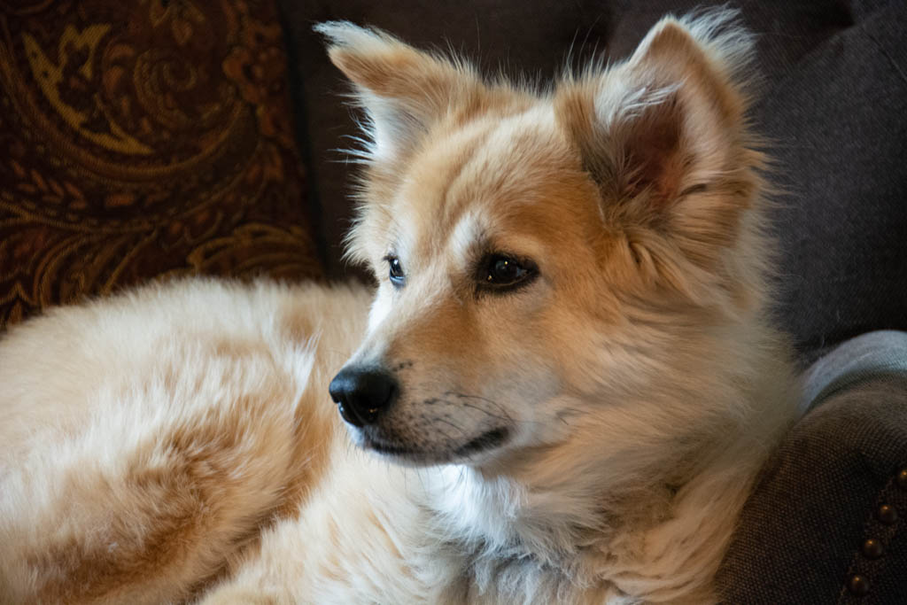 Asigned Subject In Class A By Mike Gill For ANGIE OCT-2018.jpg